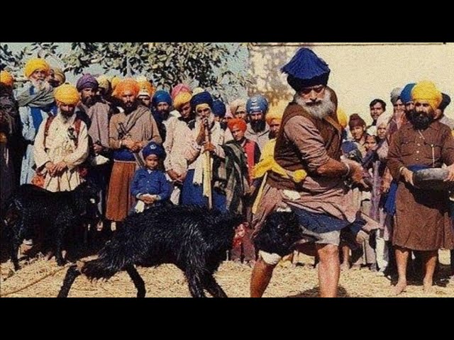 What Is the Jhatka Meat Process? A Simple Guide